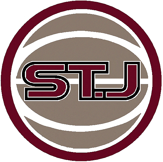 St. John's Red Storm 2004-2006 Alternate Logo diy iron on heat transfer